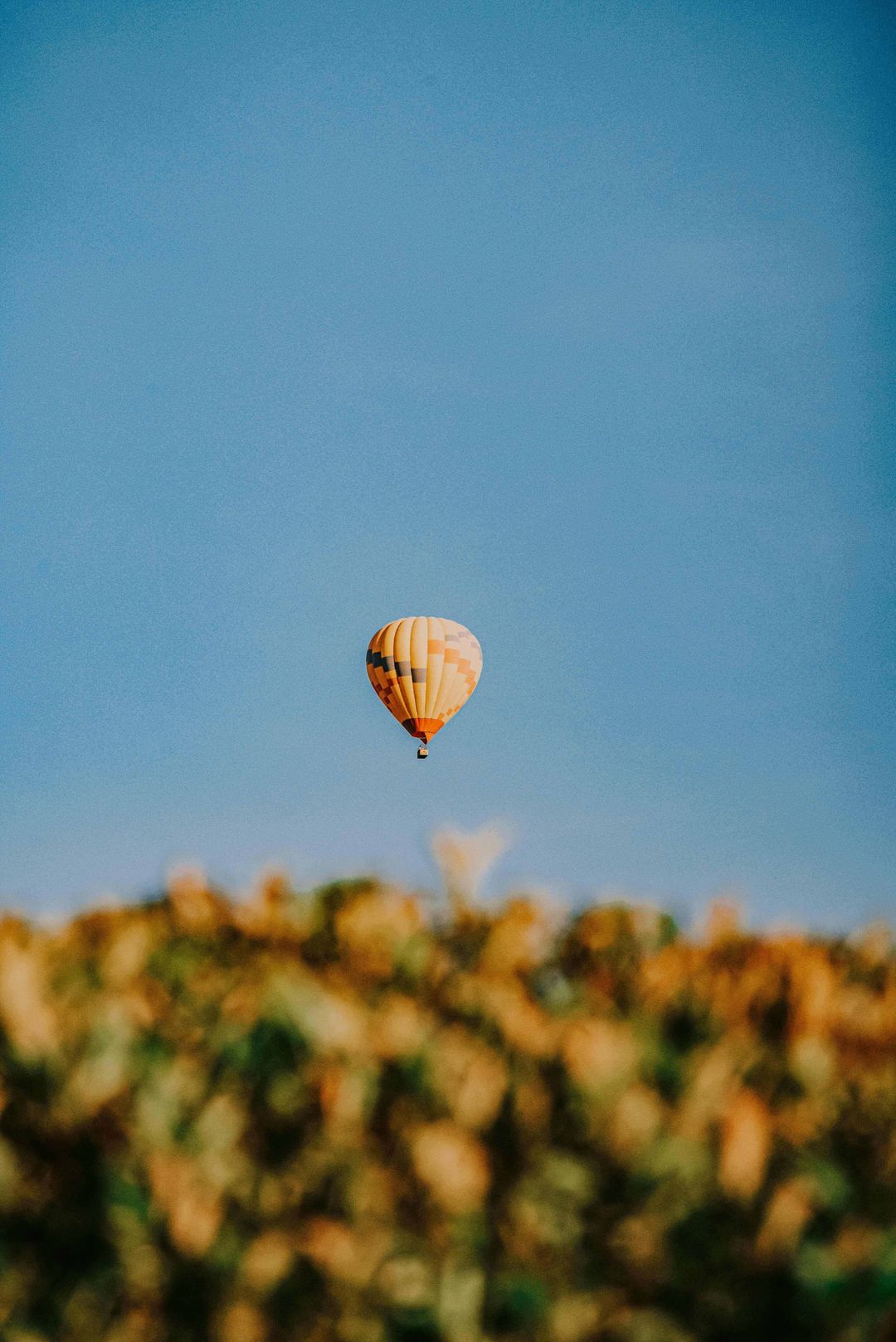 Hot Air Ballon