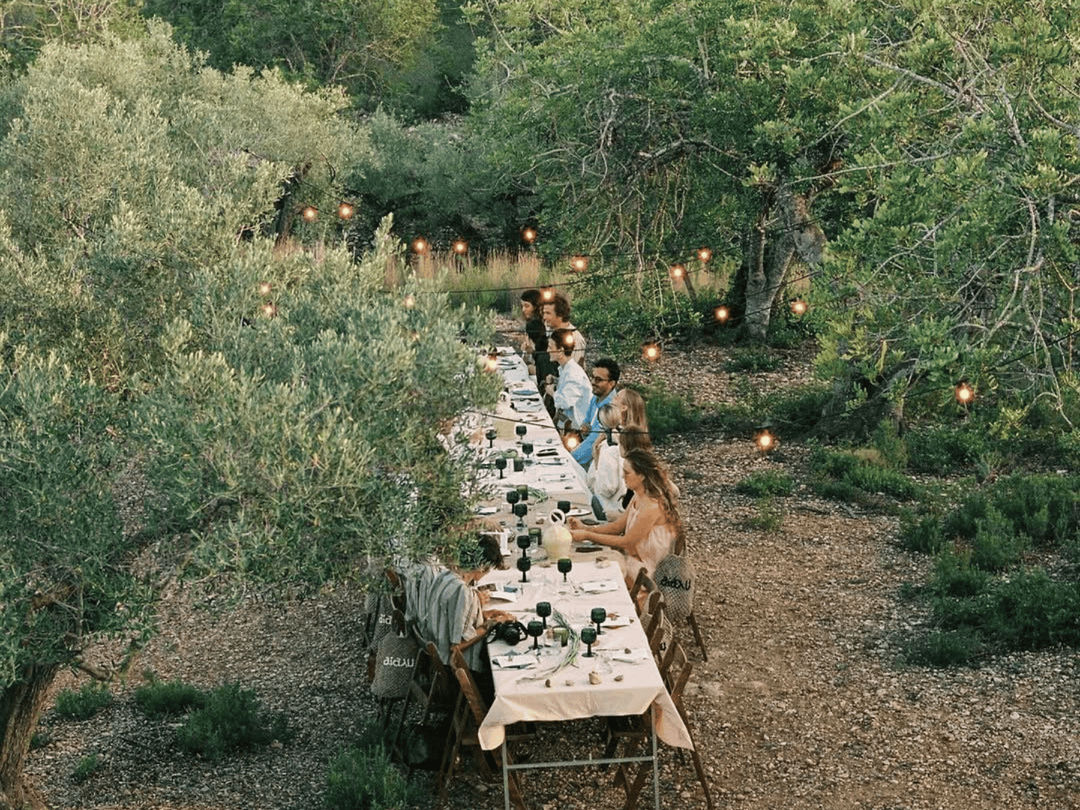 November Olive Harvest