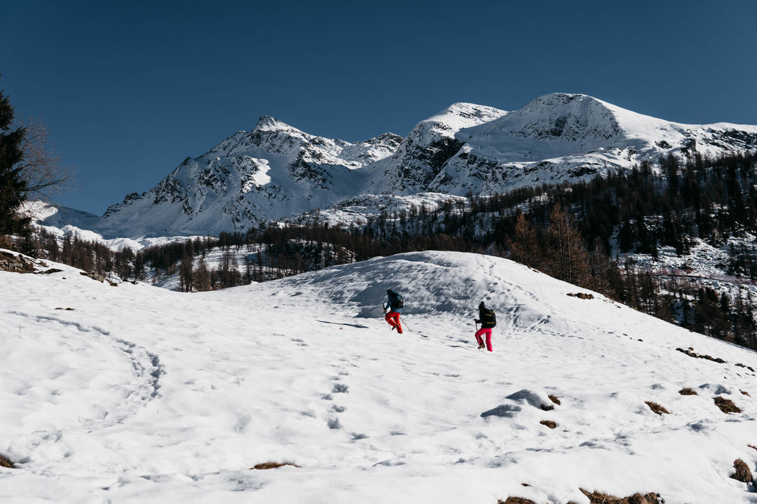 Guided Winter Tours