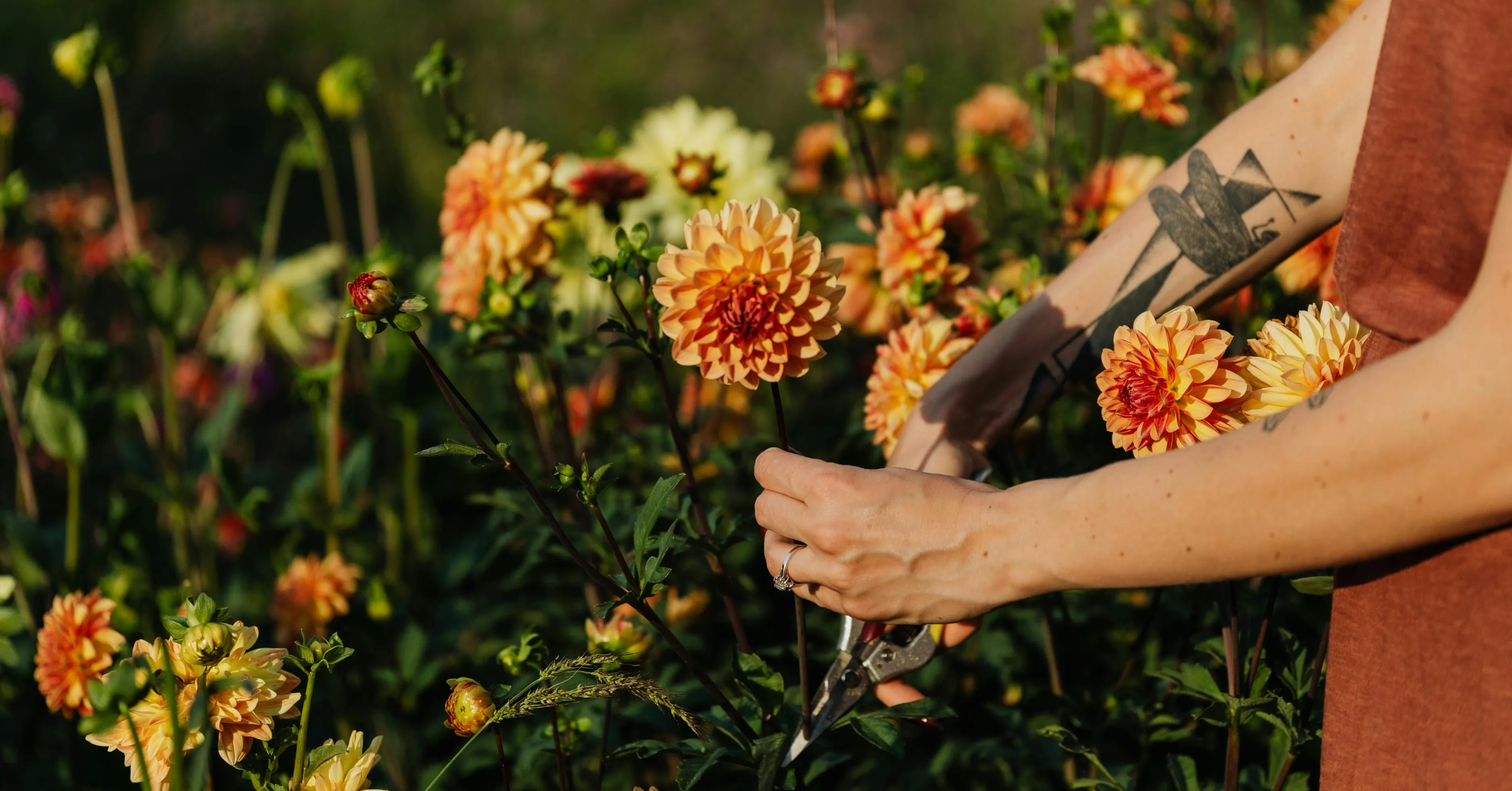 Seasonal Eating Patterns: Adapting Your GLP-1 Nutrition Through the Year