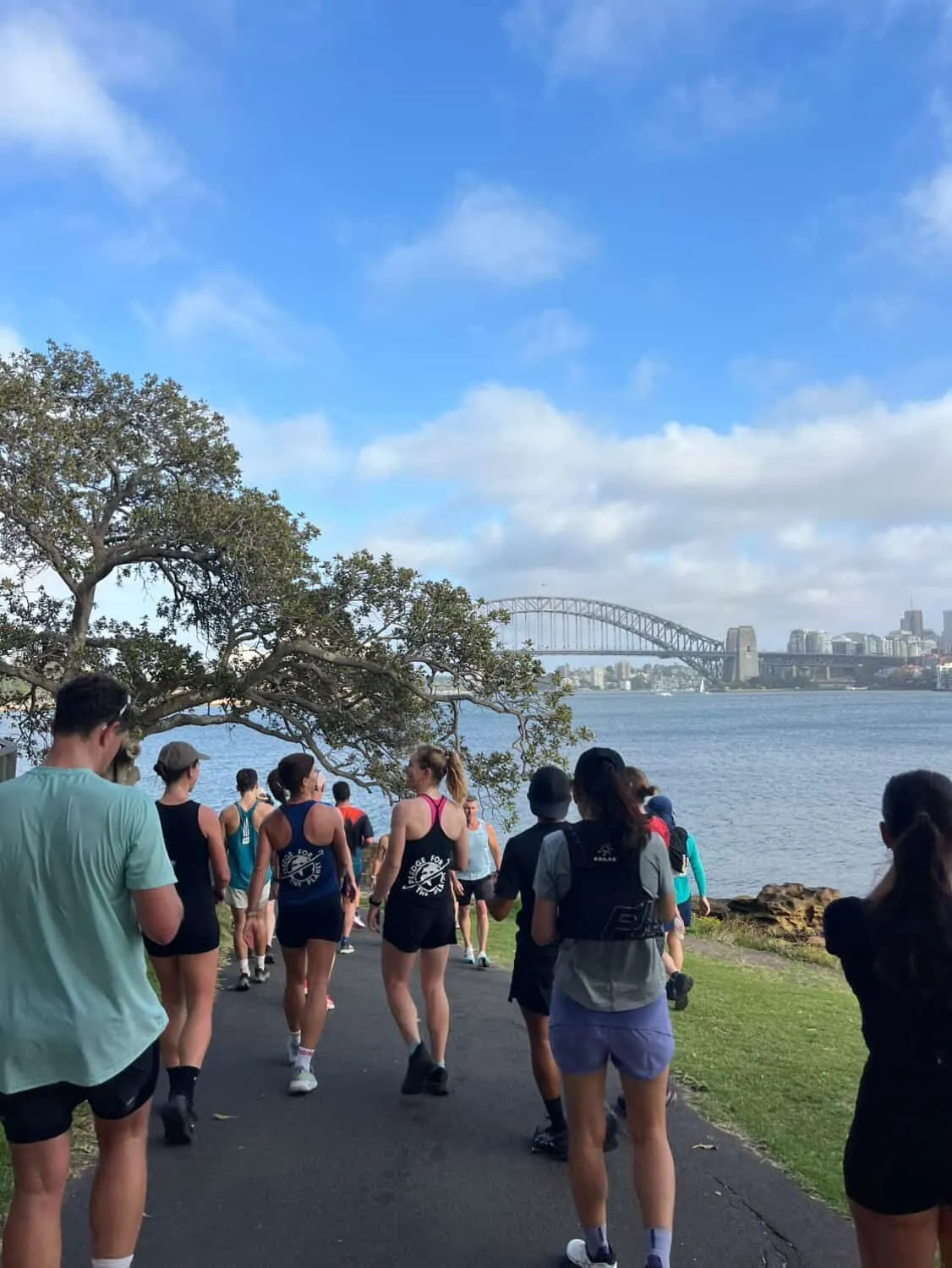 A large group of runners and walkers moving together along a harbourside path, with the Sydney Harbour Bridge behind them