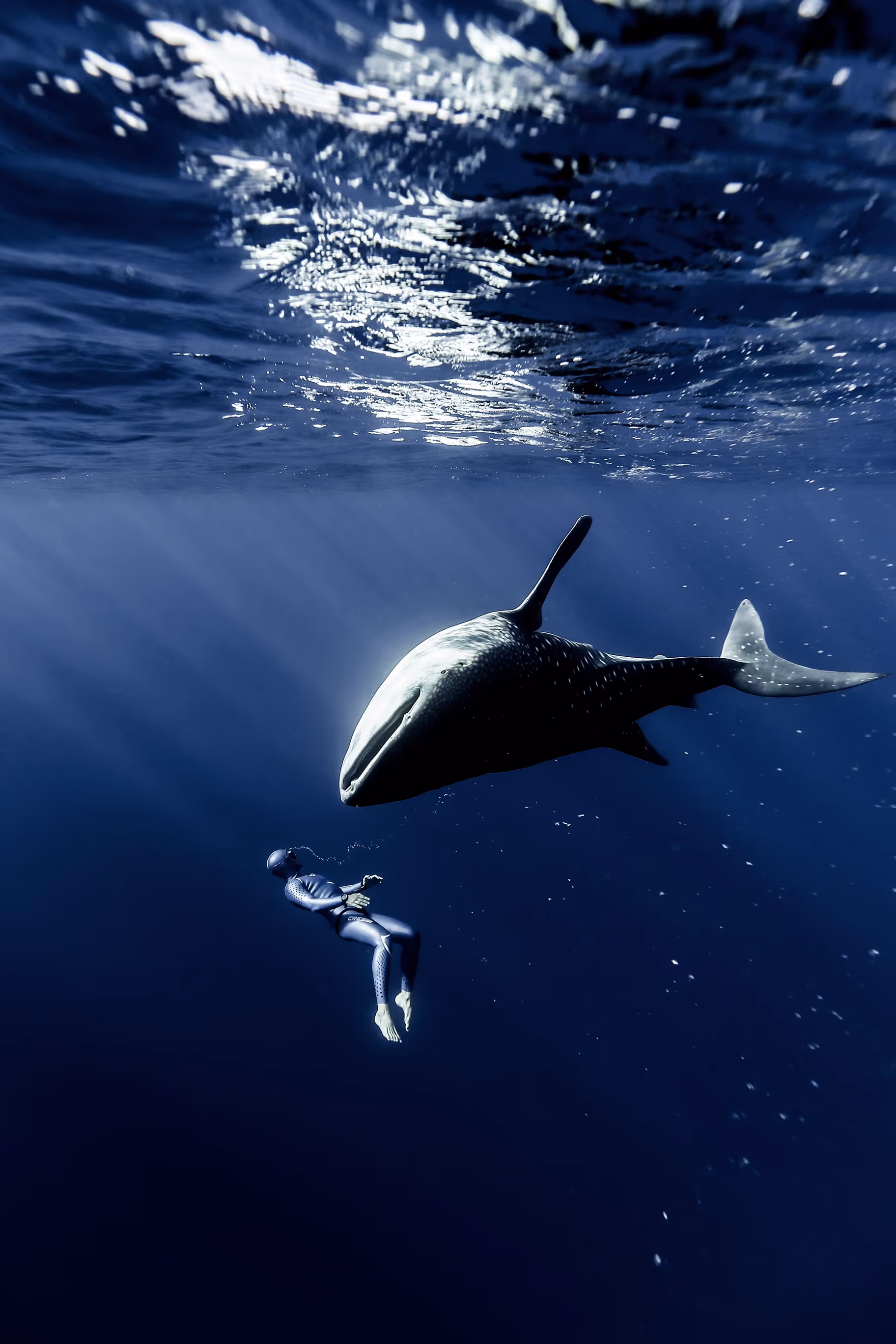 Guillaume Nery, freediving champion: the grace of the present moment