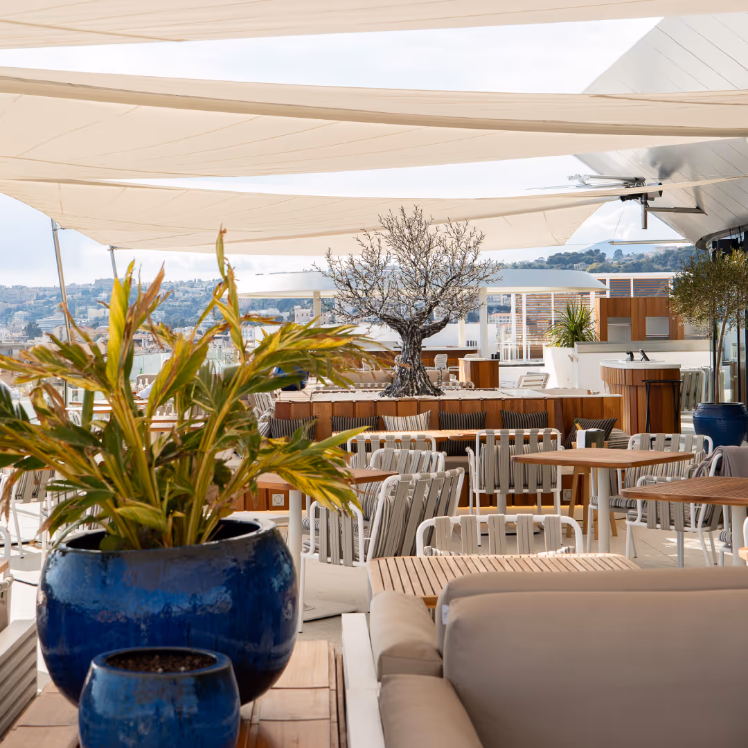 © Courtesy of Taulissa