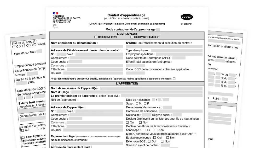 Contrat d'apprentissage et de professionnalisation.