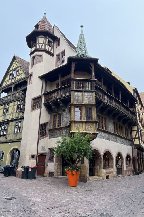 Colmar: Living in Little Venice, the Gateway to the Alsace Wine Route