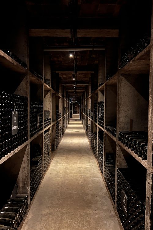 Beaune: Fall Colors, Pinots, and The Palace for the Poor