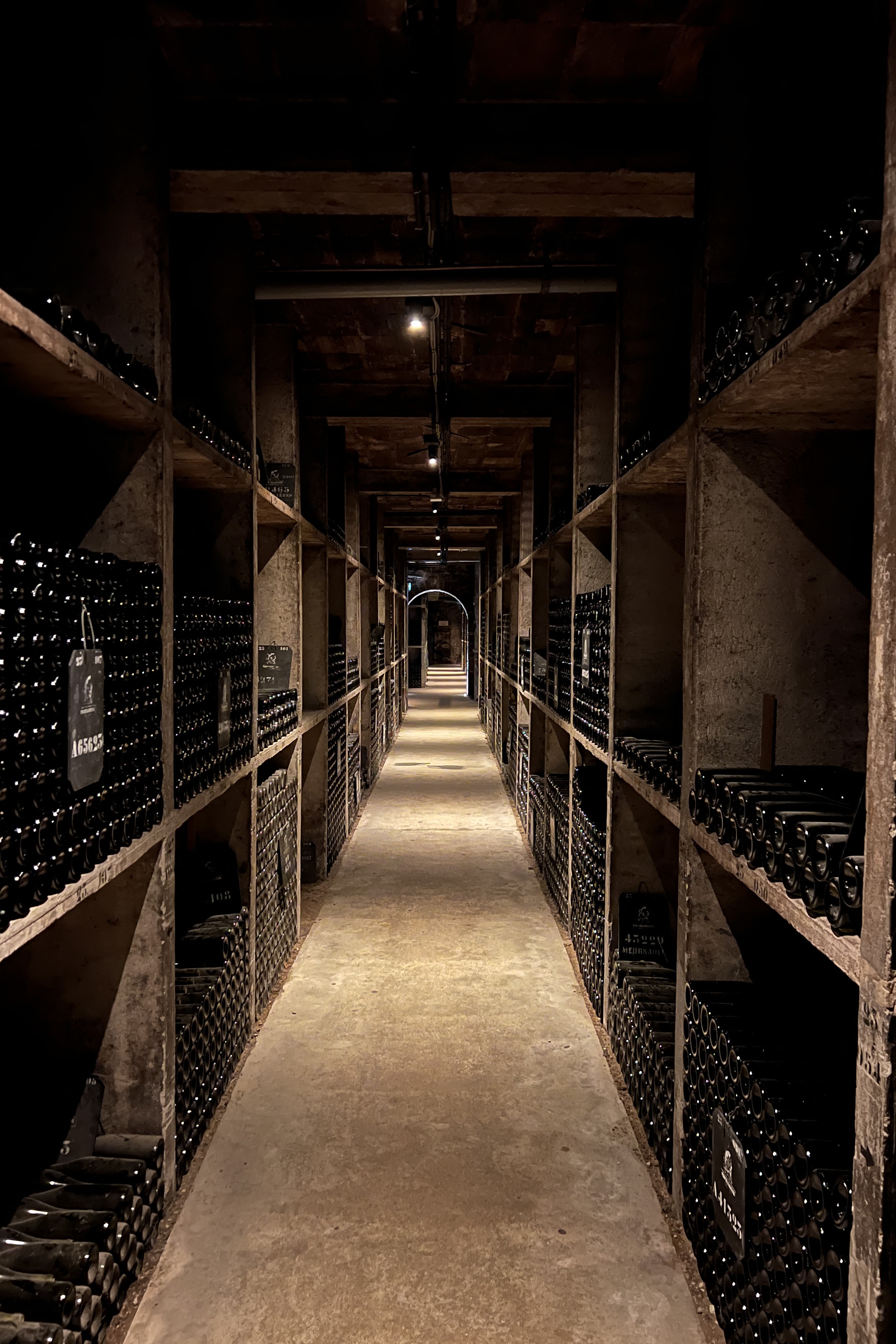 Beaune: Fall Colors, Pinots, and The Palace for the Poor