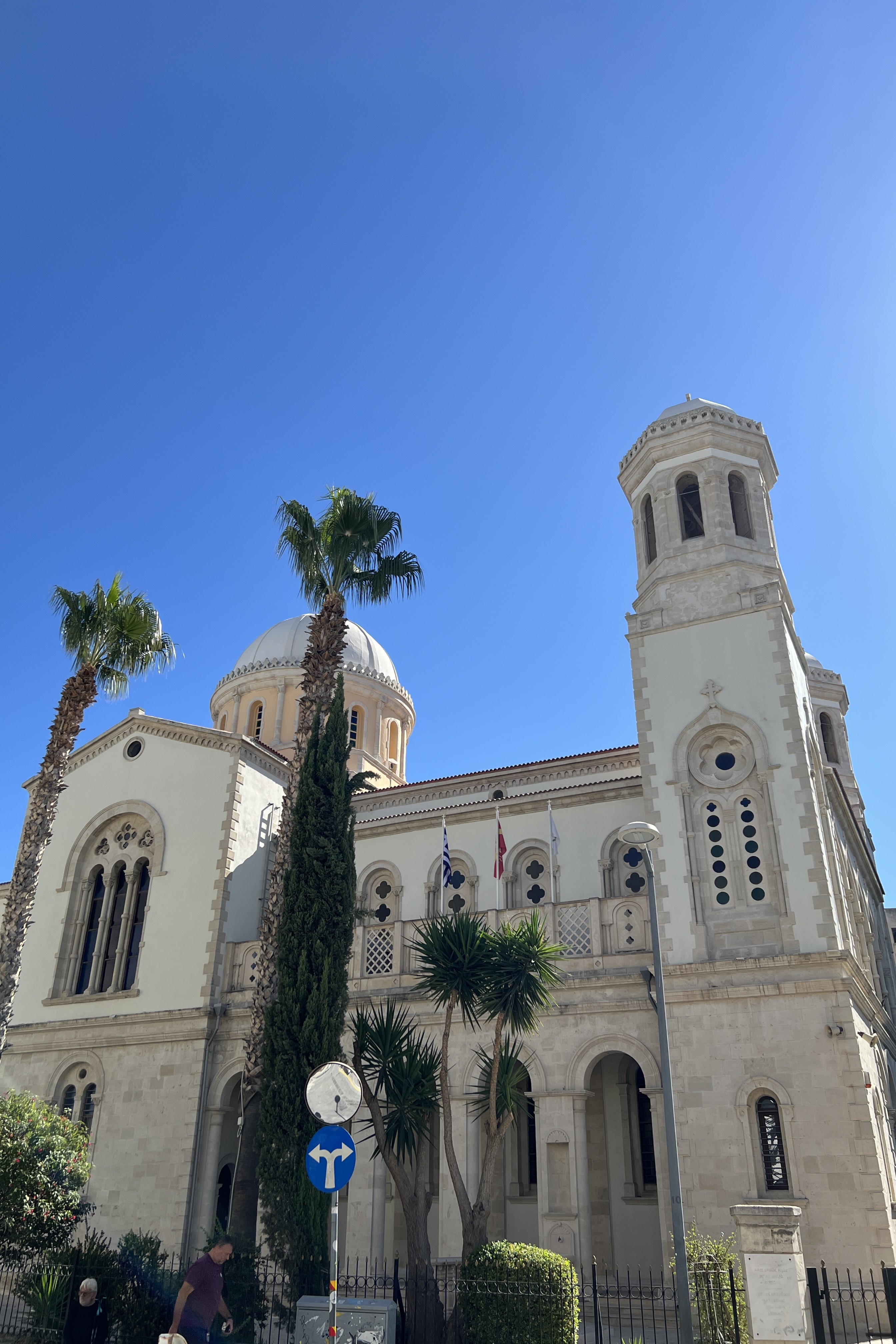 Limassol: Cats, Chaos, and the Secret Gardens of the Old Town