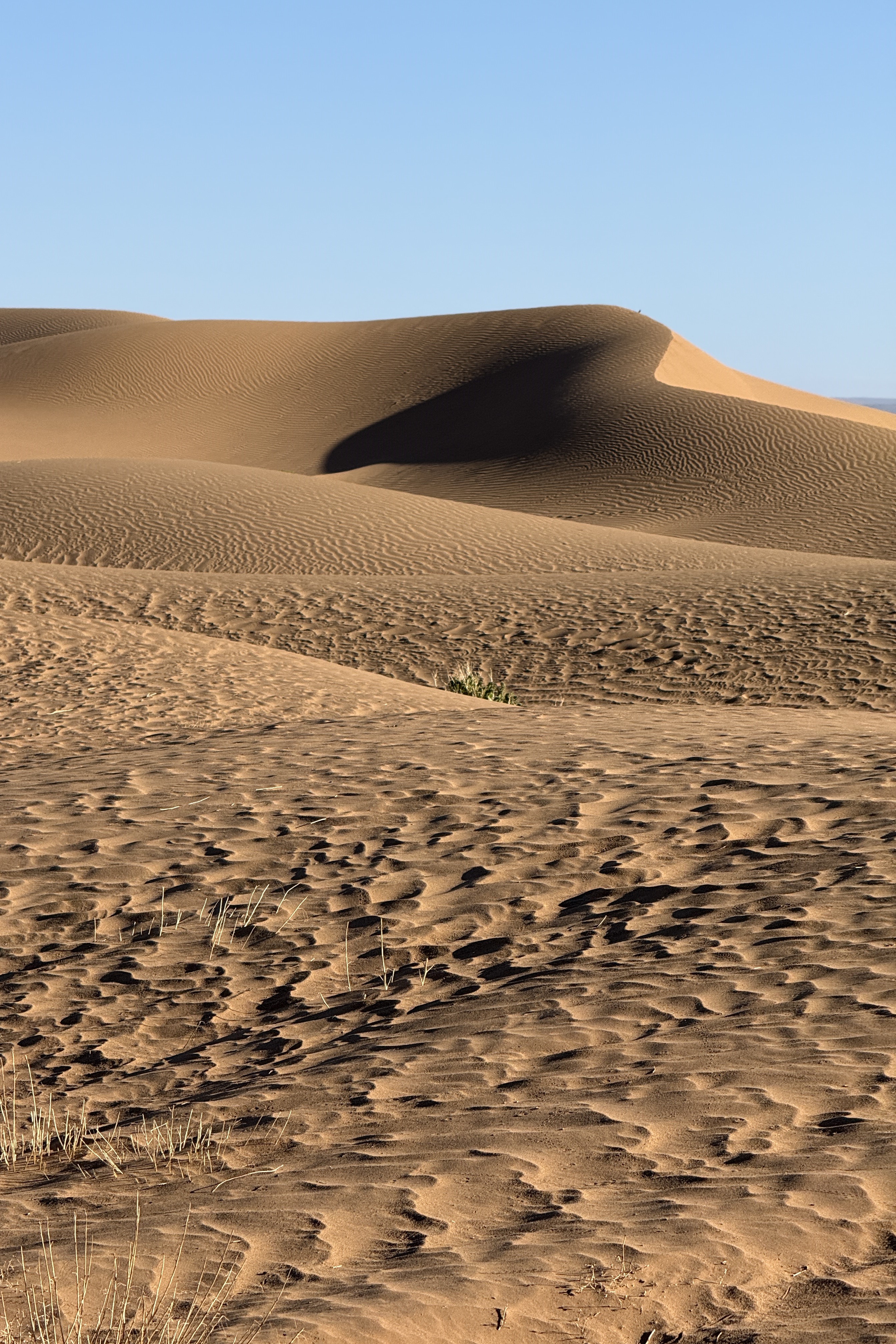 Beyond the Paved Road: A Private Safari into the Heart of Erg Chegaga