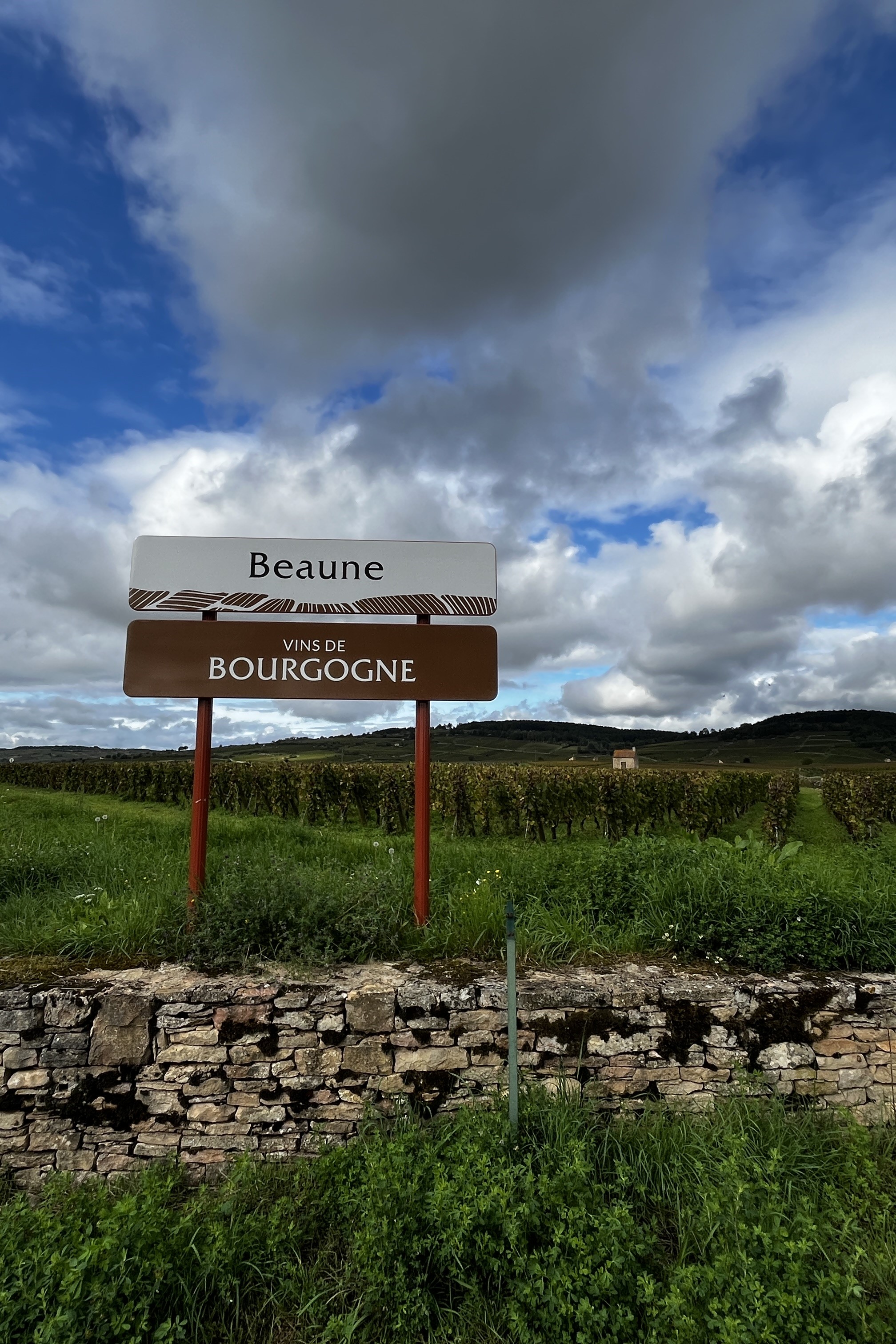 Beaune Wine Guide: A WSET Hub & Spoke Study
