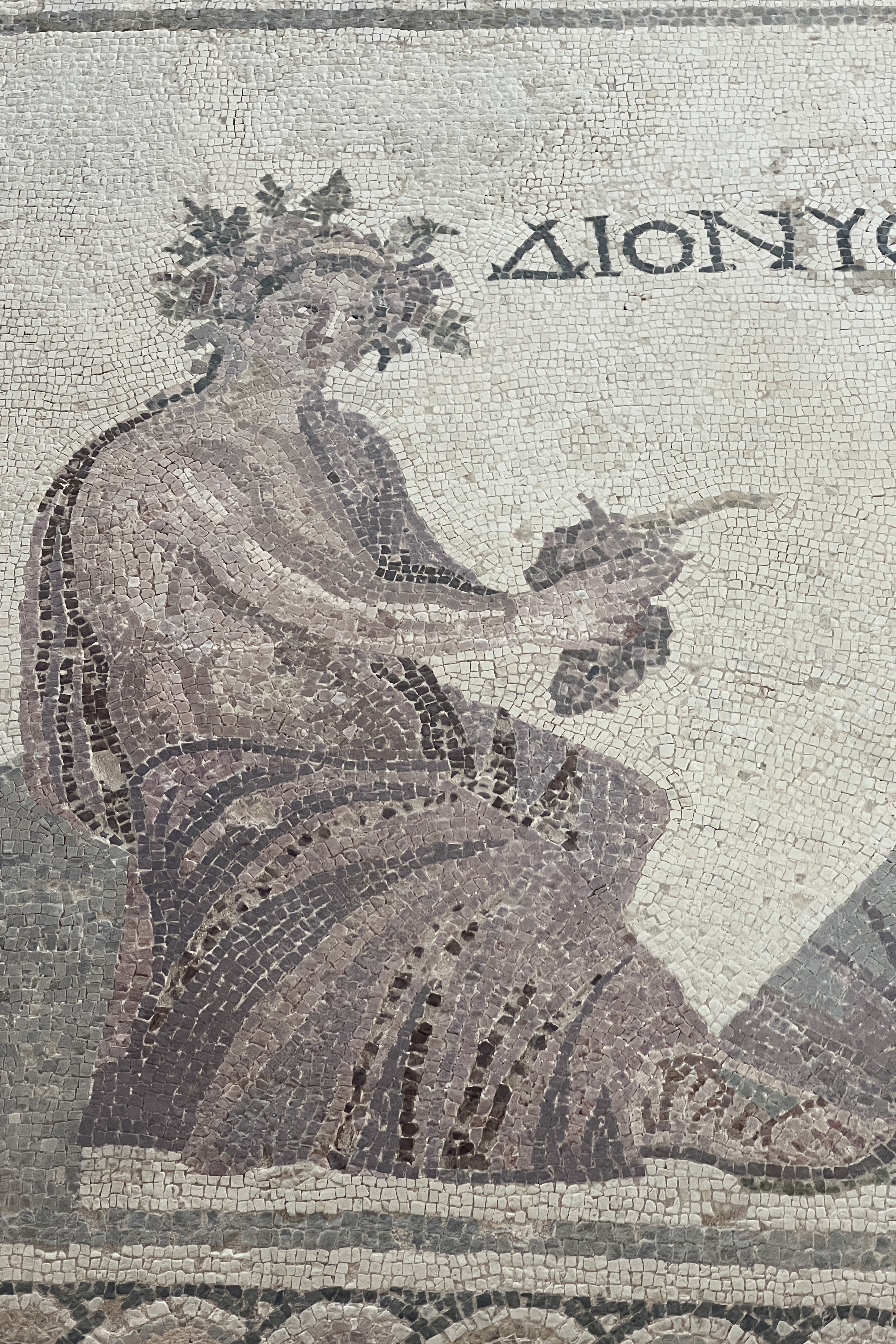 Paphos & Larnaca Wine Guide: For Travelers and Wine Certification Students