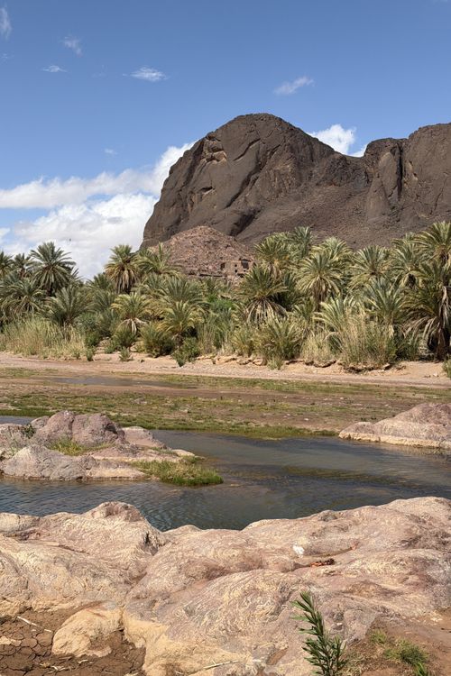 Morocco Day Trip and Safari Planning Guide