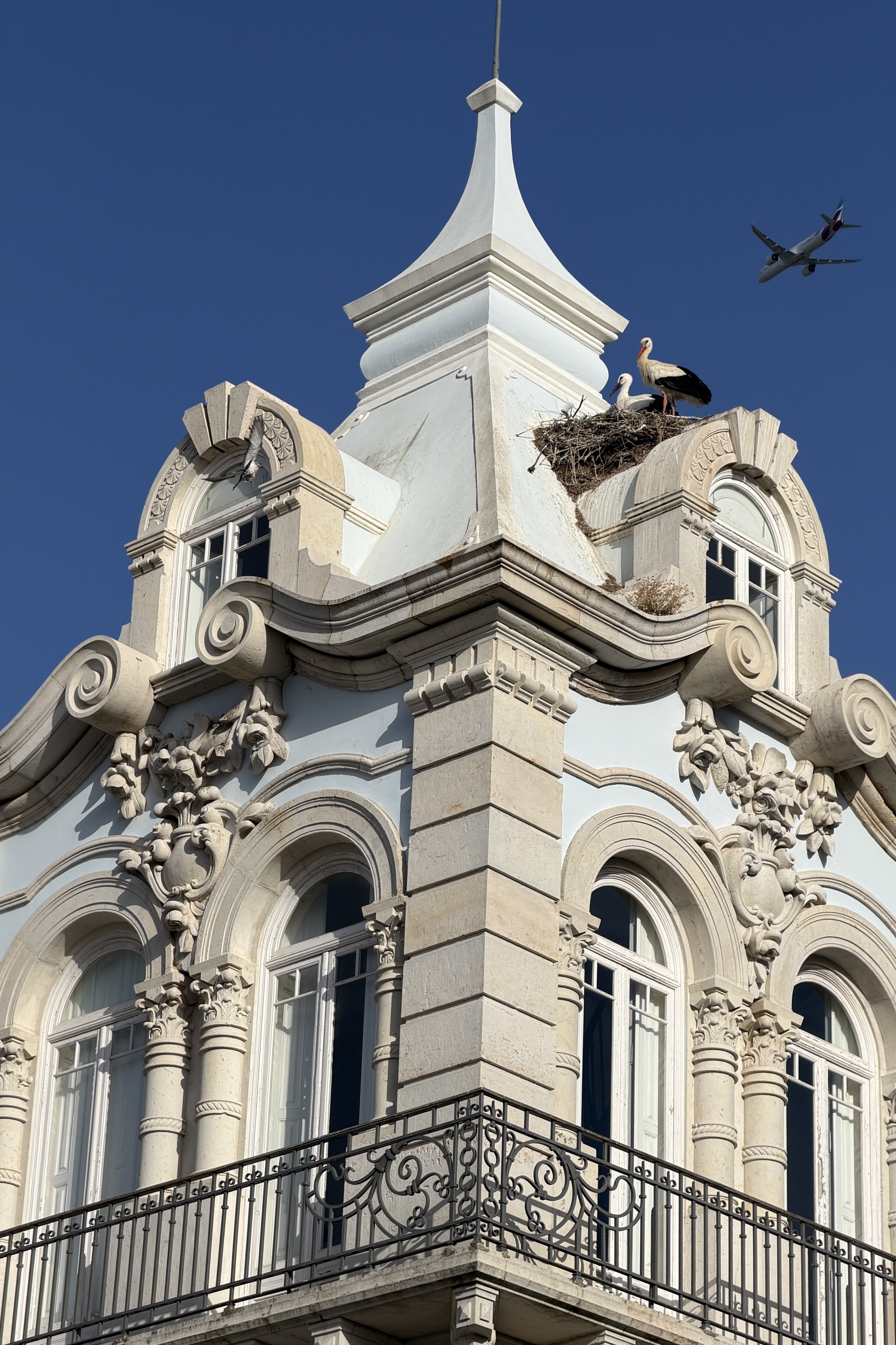 Faro, Portugal: The Gateway to the Ria Formosa