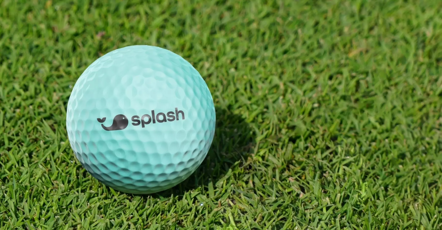 Overcoming the Fear of Change: Five Reasons to Test the Waters with Splash Sports