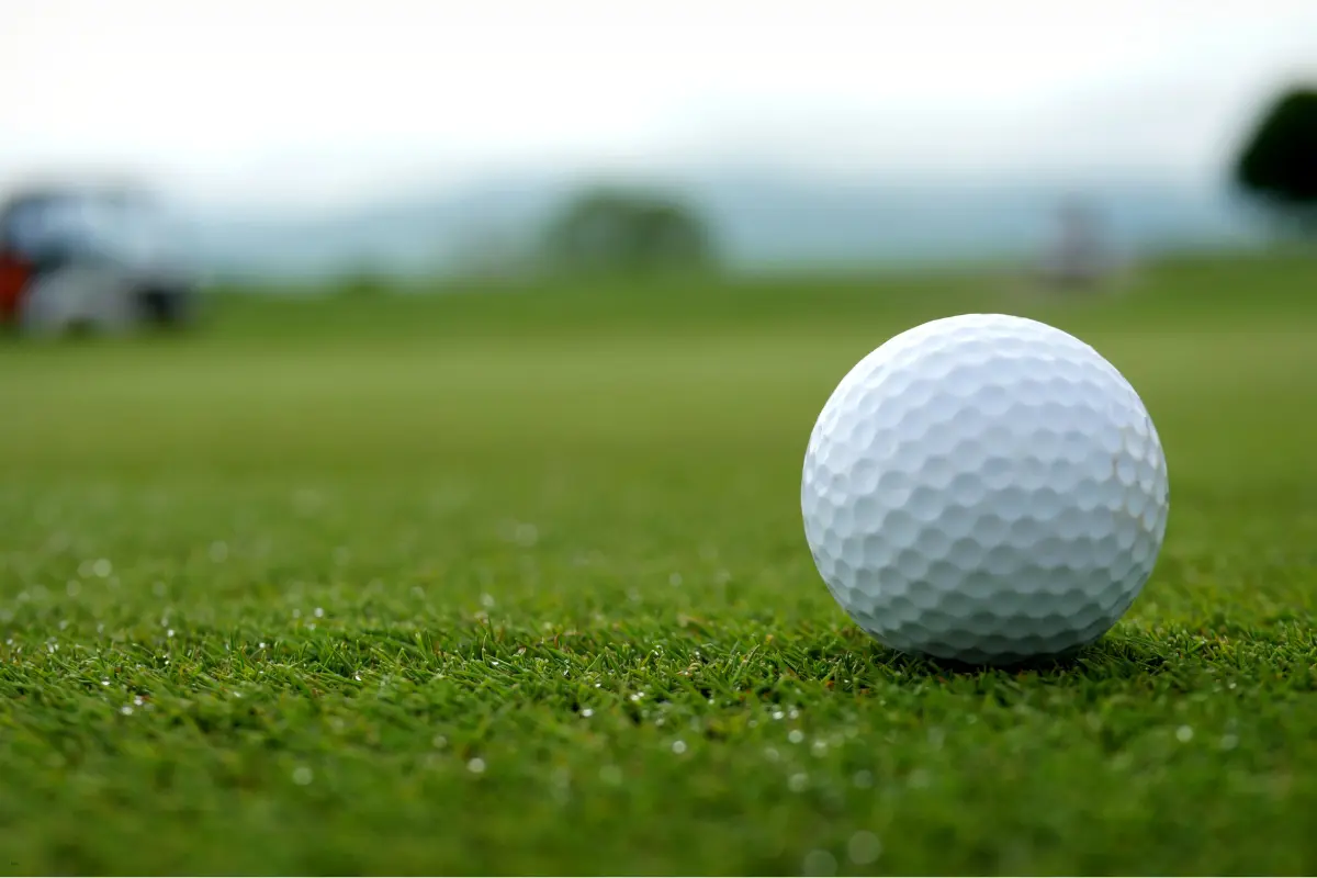 fantasy golf one and done
