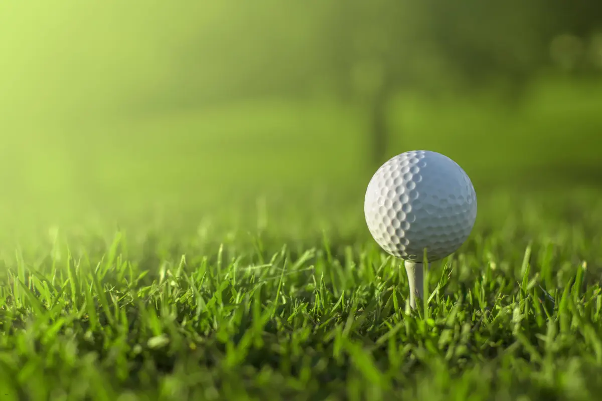 pga tour fantasy golf