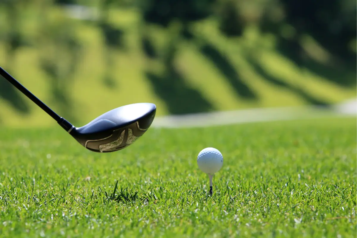 fantasy golf picks