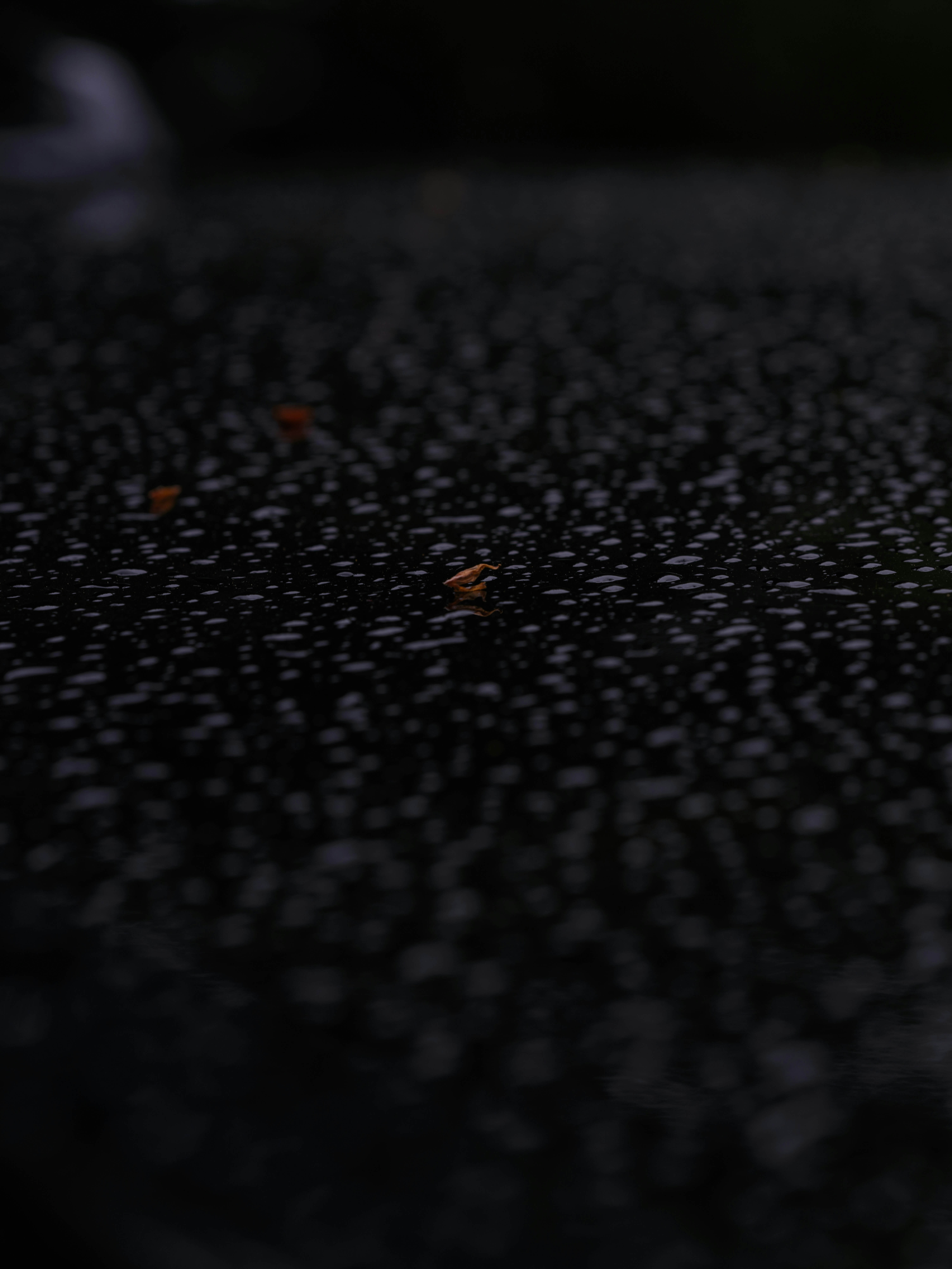 Fuktskydd för golv från Byggproffs Skåne – skydda ditt hem mot fukt och skador med professionella lösningar.