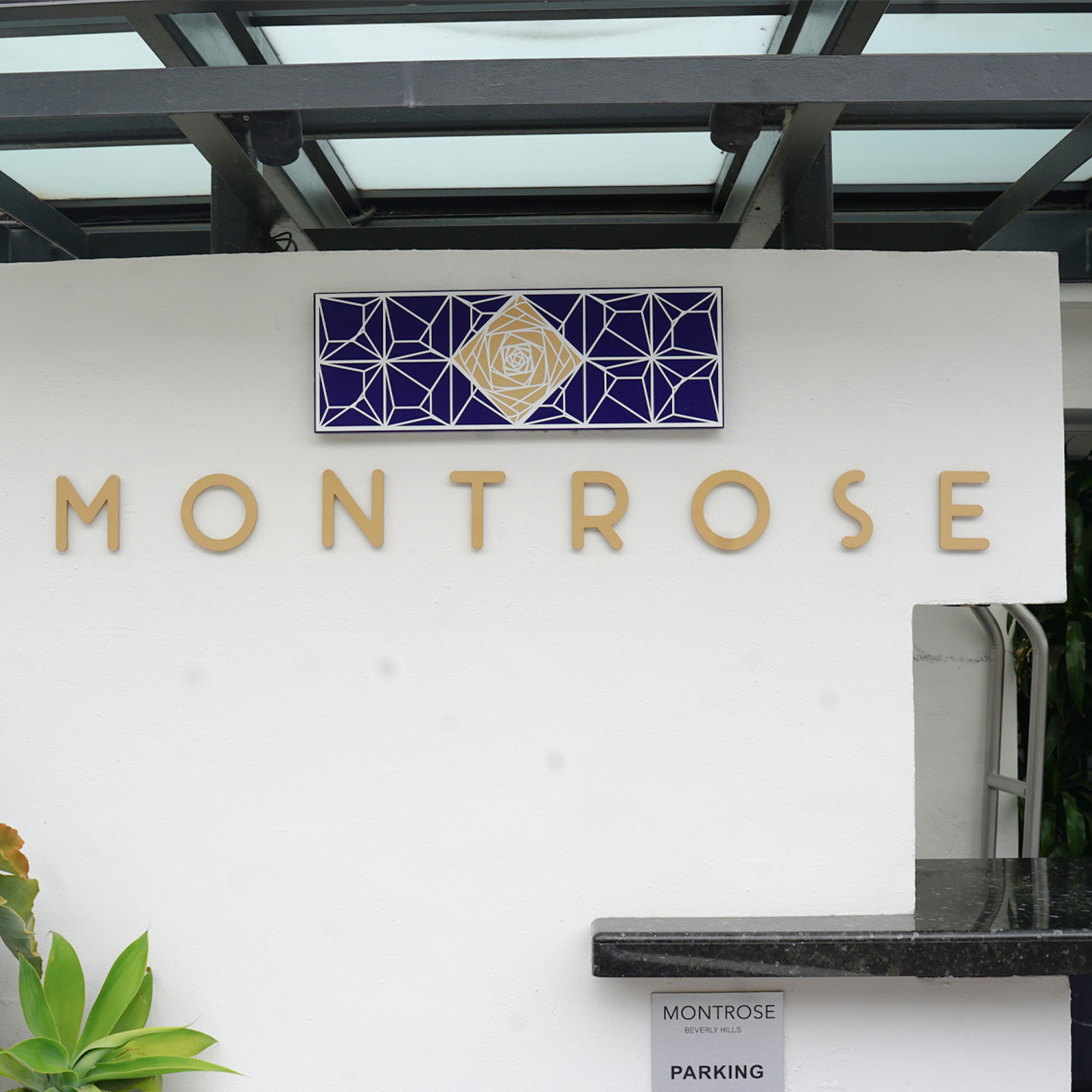 The word "Montrose" written or displayed on a plain white wall.