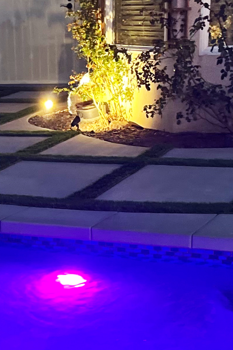 A rose bush is beautifully illuminated, with a section of the swimming pool also lit up, creating a charming evening ambiance.