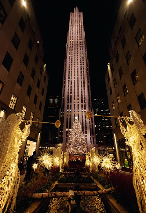 Christmas Tree, New York