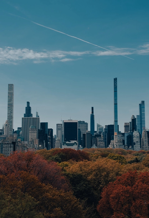 Nature in the City