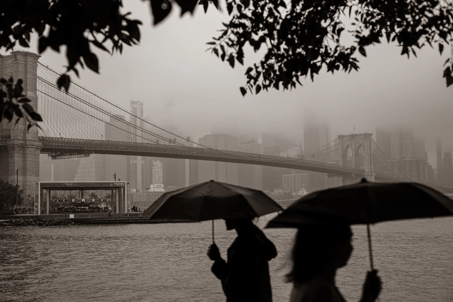 Brooklyn Rain