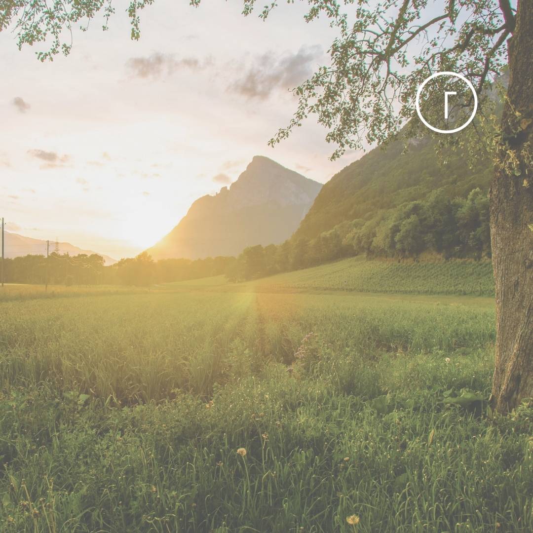 Campo-Español-Transcendent