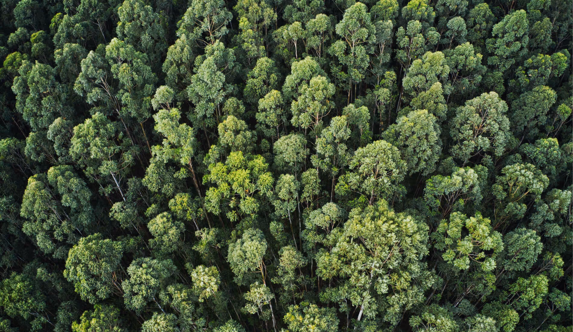 Soziale Verantwortung | Hansedrucker.de Soziale Verantwortung | Draufdrucker.de