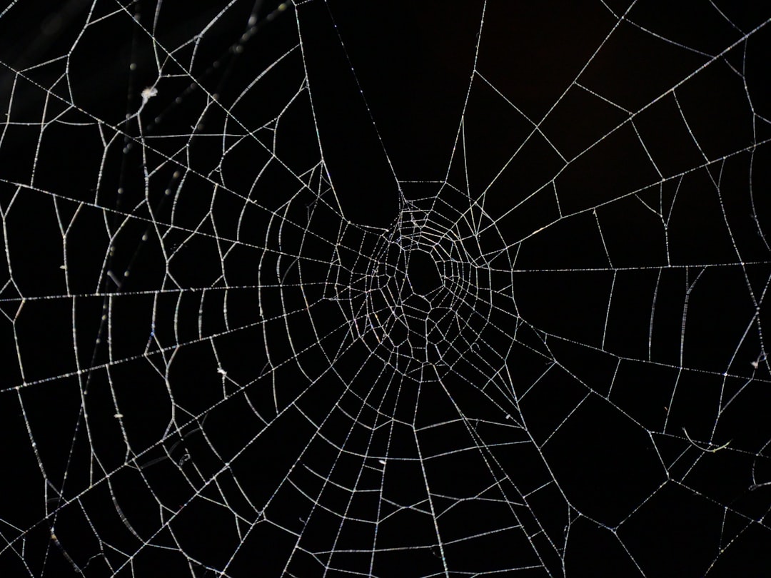 Photo by Rafael Garcin on Unsplash