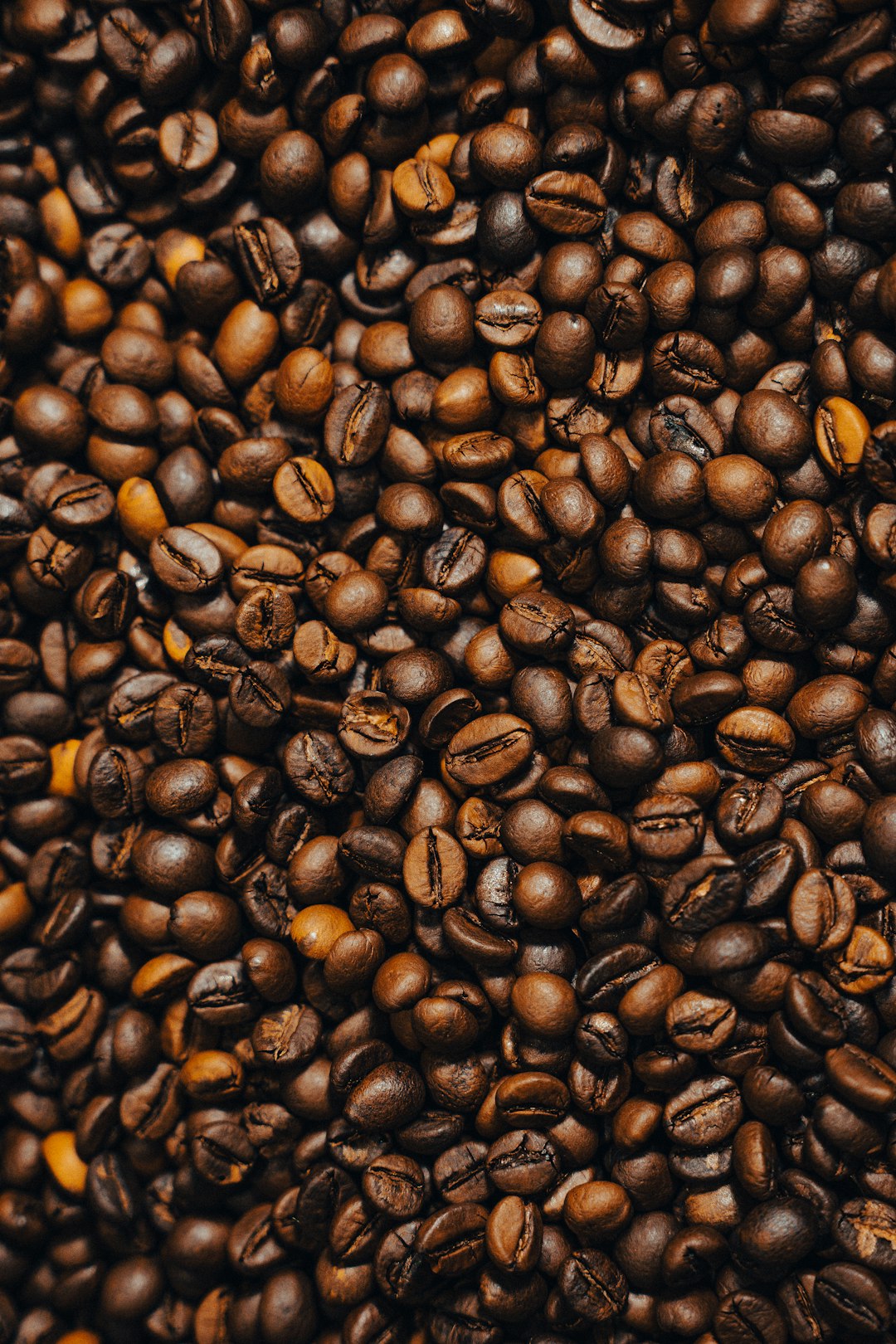 Photo by Fatih Mehmet YILDIZ on Unsplash