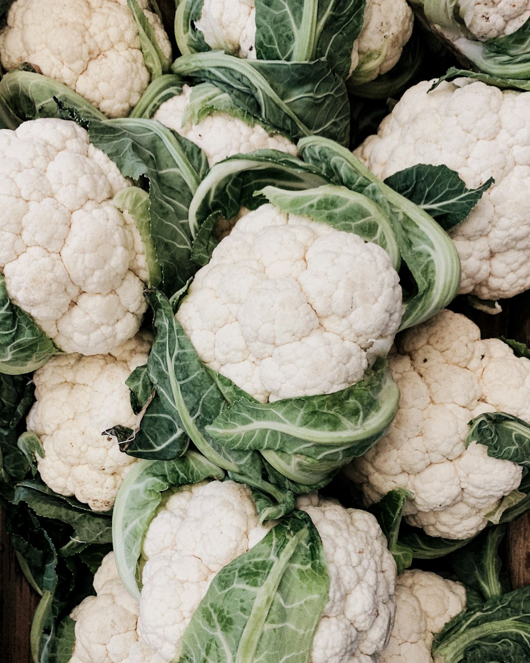 Photo by Irene Kredenets on Unsplash