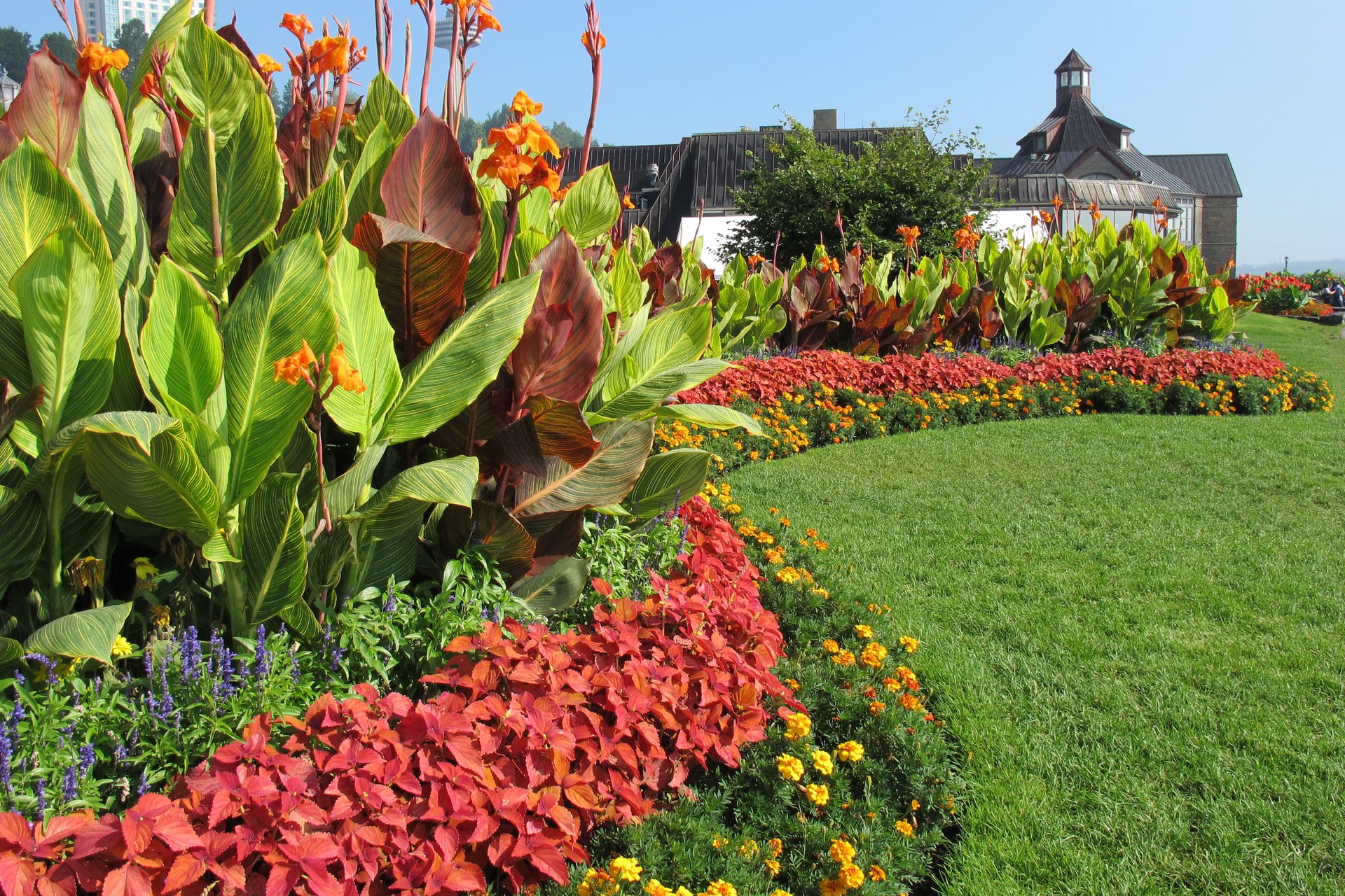 Picture of the gardens