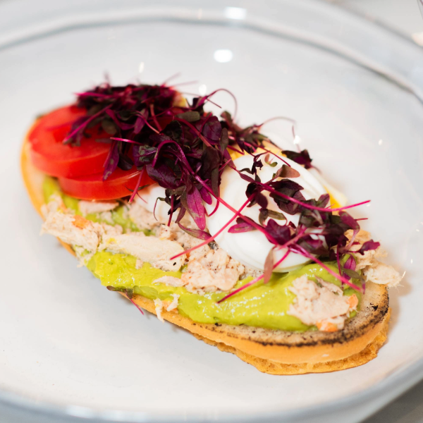 Open-faced sandwich with avocado spread, shredded chicken, tomato slices, dollops of cream, and purple microgreens on toasted bread.