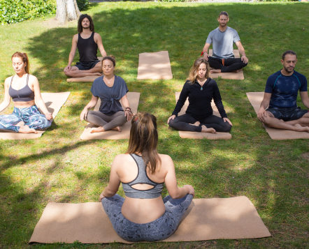 Team Wellness Recharge