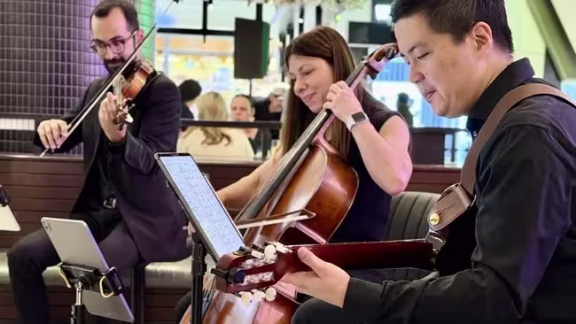 A live string trio at a holiday event. Acoustic music in the first hour sets the tone the same way carolers do.