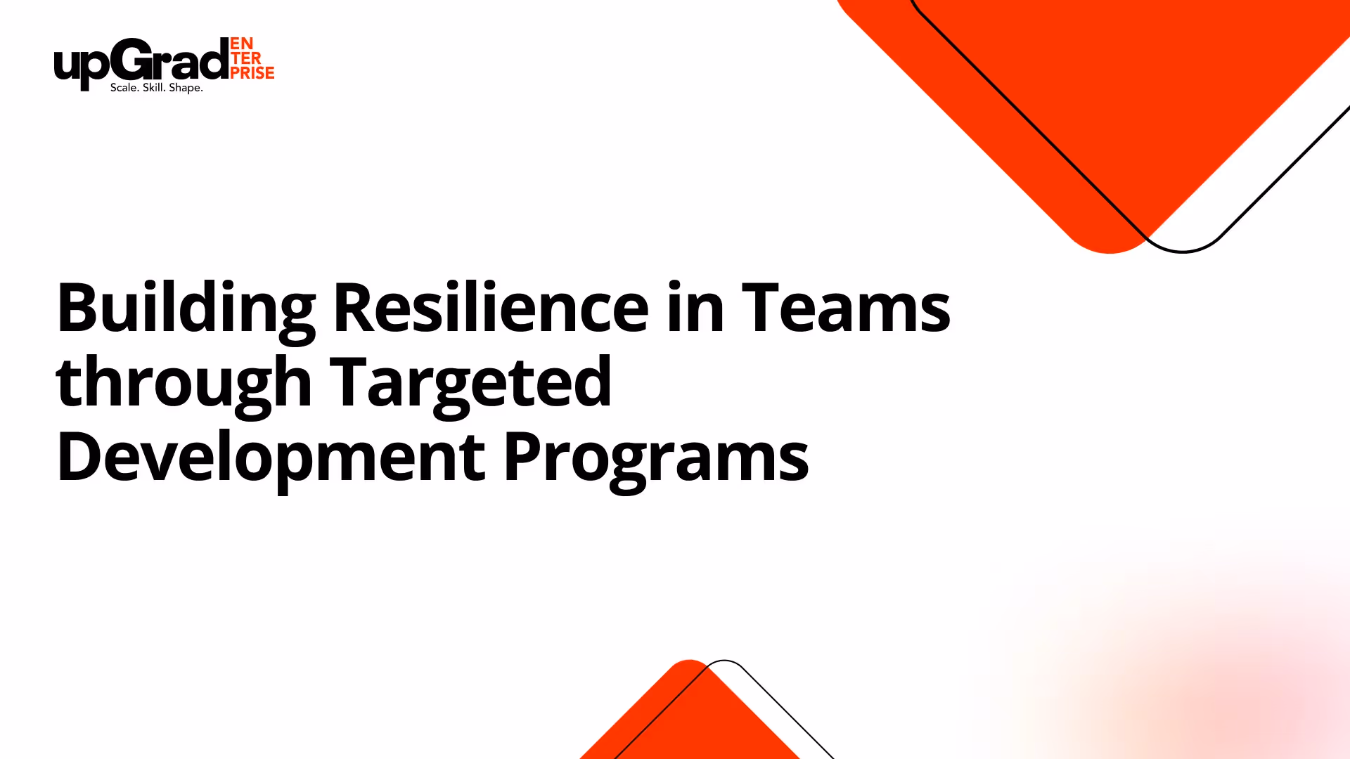 Building Resilience in Teams through Targeted Development Programs