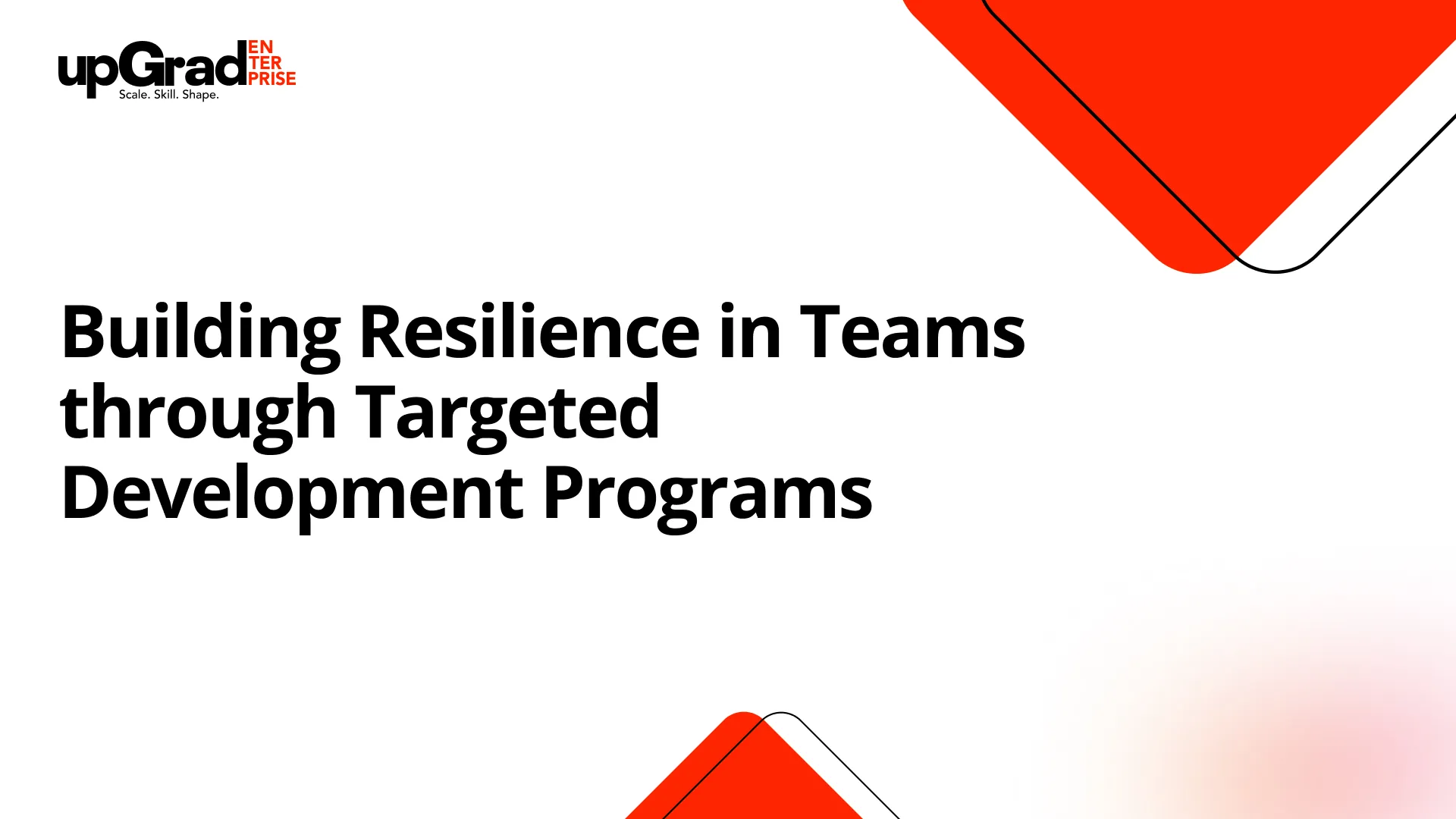 Building Resilience in Teams through Targeted Development Programs