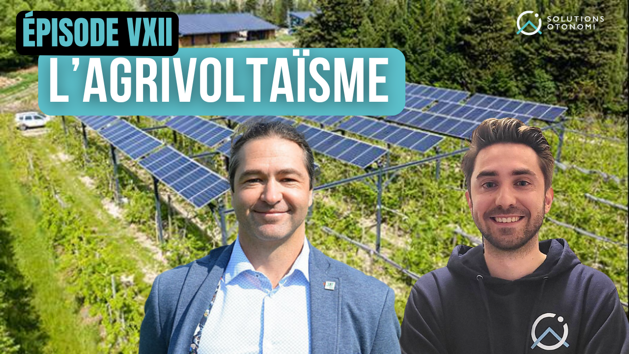 L'agrivoltaïsme au Québec : quand le soleil protège l'agriculture