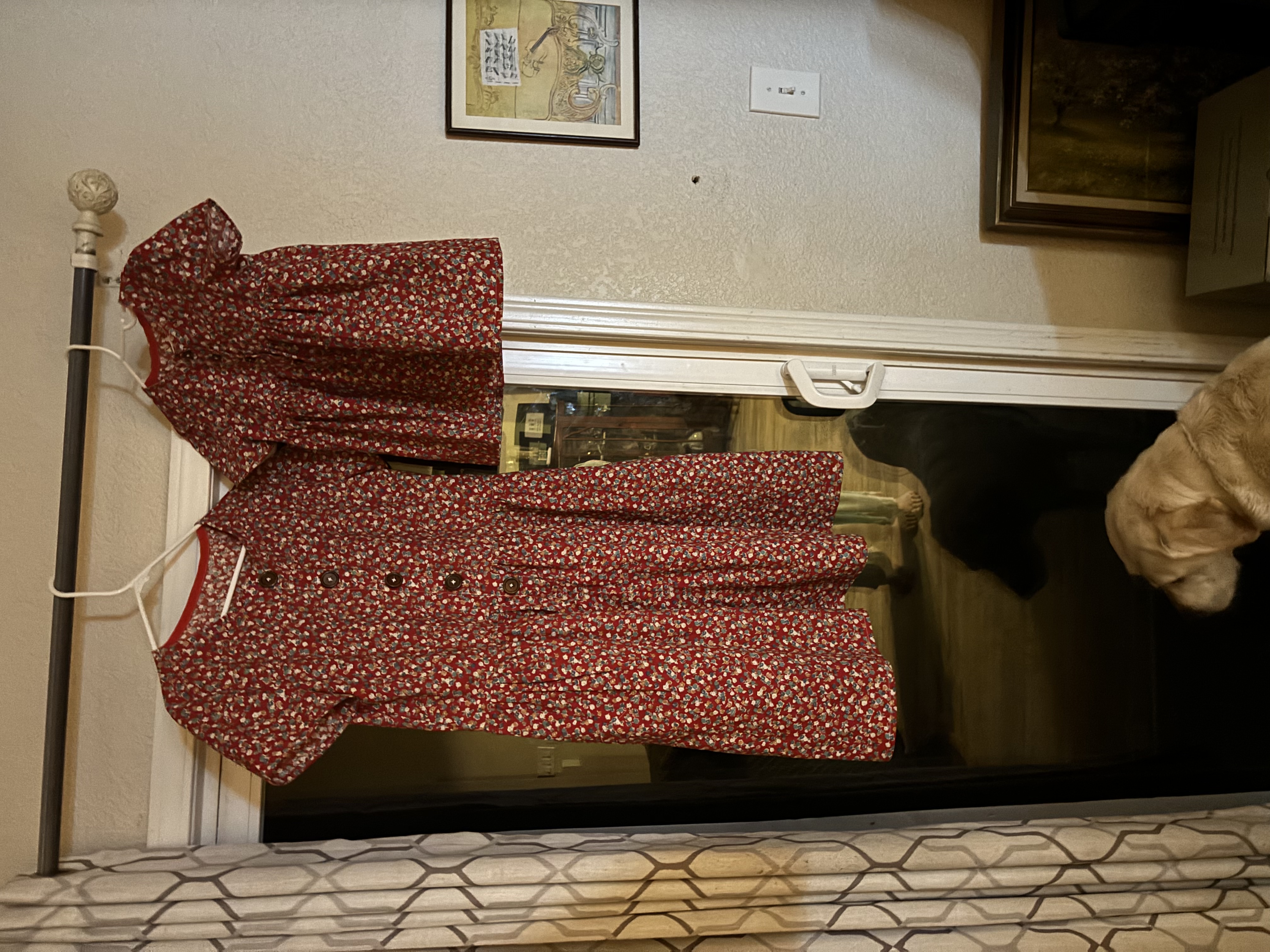 Two matching red floral dresses, one adult sized and one child sized, hanging on a curtain rod with two dogs below.