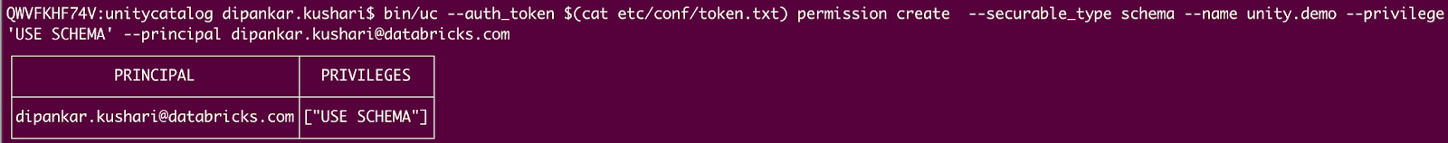 Command line interface showing a Databricks Unity Catalog command that assigns the 'USE SCHEMA' privilege to the principal 'dipankar.kushari@databricks.com' for the schema 'unity.demo'.