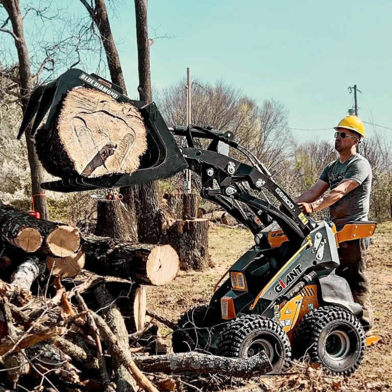 Large tree removal