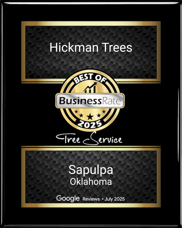 Hickman trees best of business rate award