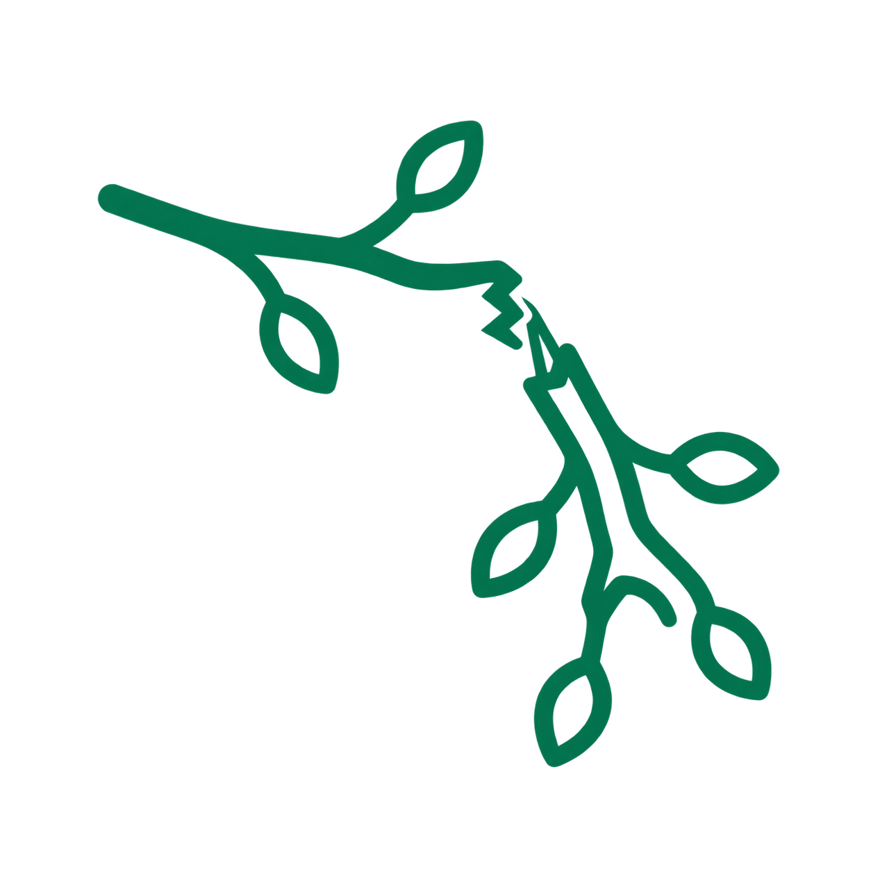Green line drawing of a broken branch with leaves on a transparent background.