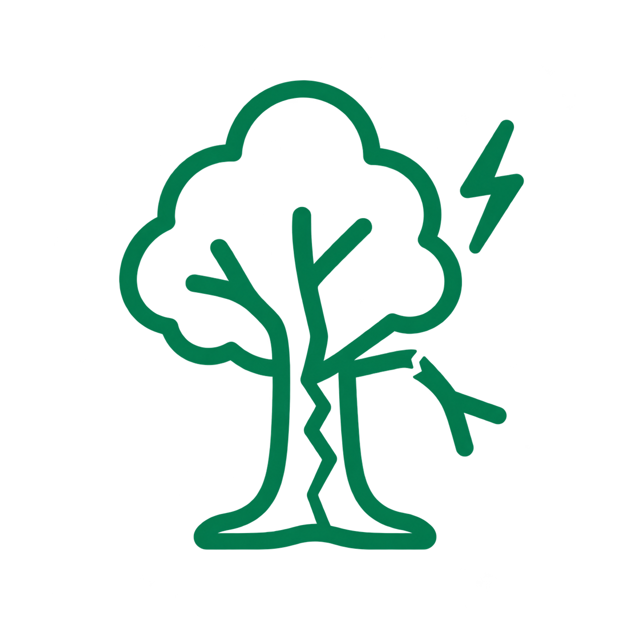 Icon of a tree with a lightning bolt striking it, causing a broken branch to fall.