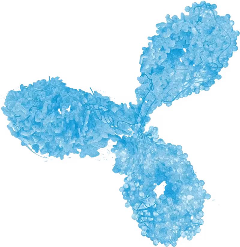 3d Antibody 