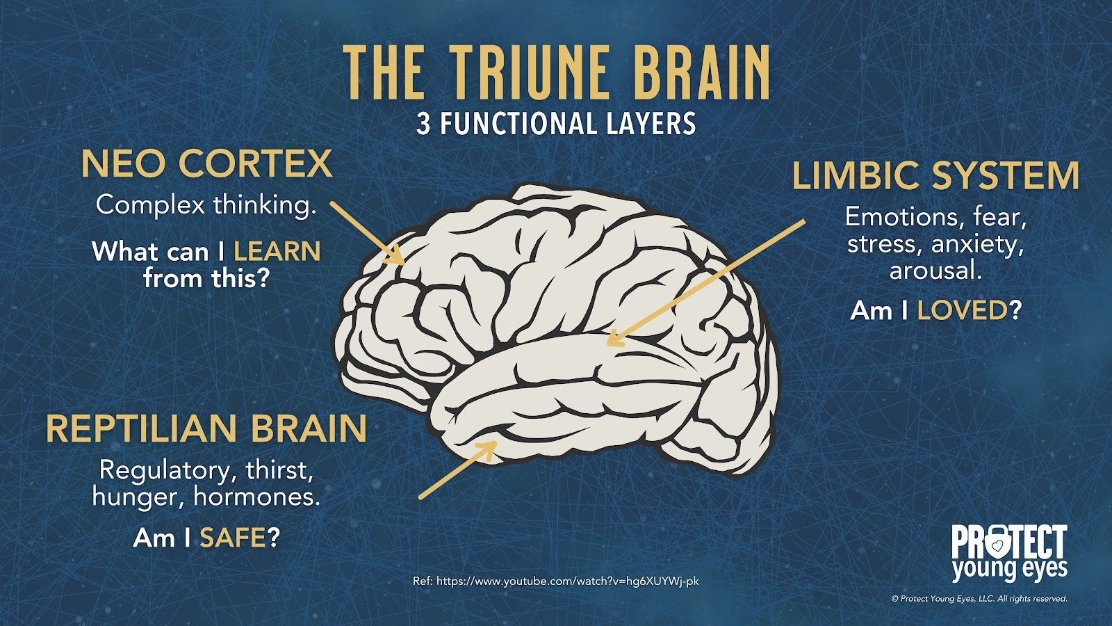 The Triune Brain, and illustration for the brains 3 functional layers: 1. The Reptilian Brain, which asks "Am I safe?" 2. The Limbic System, which asks "Am I Loved?" 3. The Neo Cortex, which asks "What can I Learn from this?"