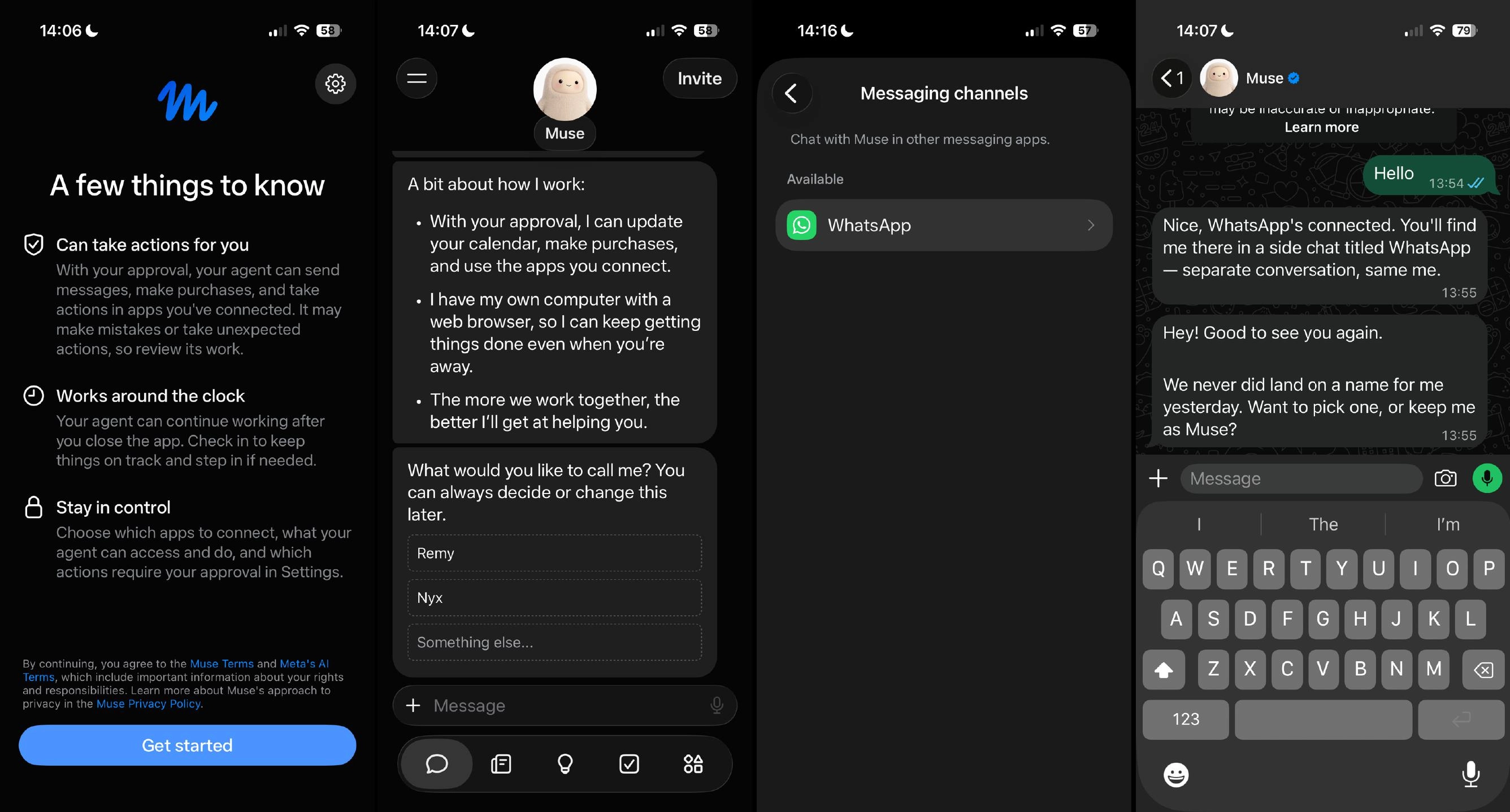 Muse Set Up and Linking to WhatsApp