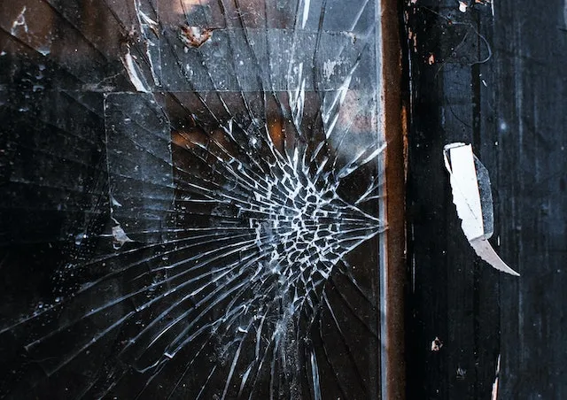 Windows & door protection