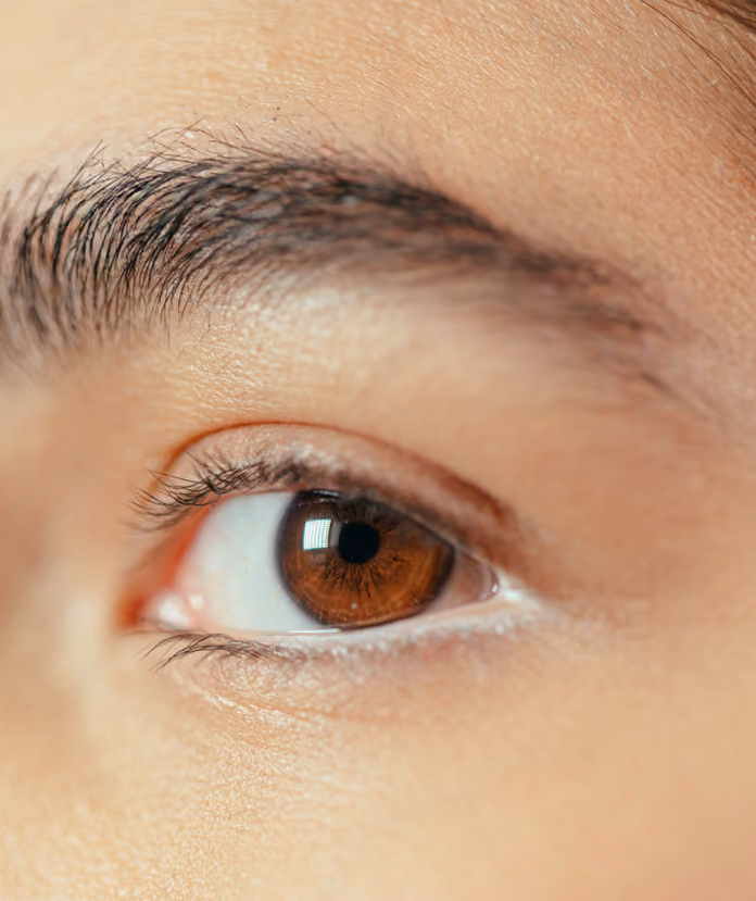 Close-up of an eyebrow restoration treatment showing individual hair graft placement along the brow.